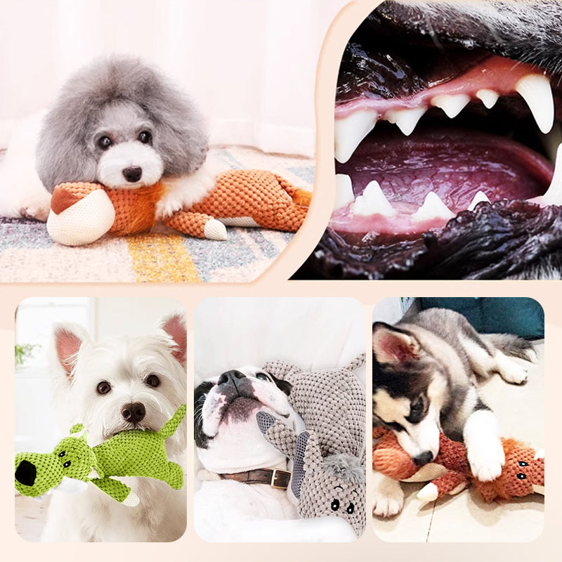 Chewing Toys for Pets - Fun and Cuddly!