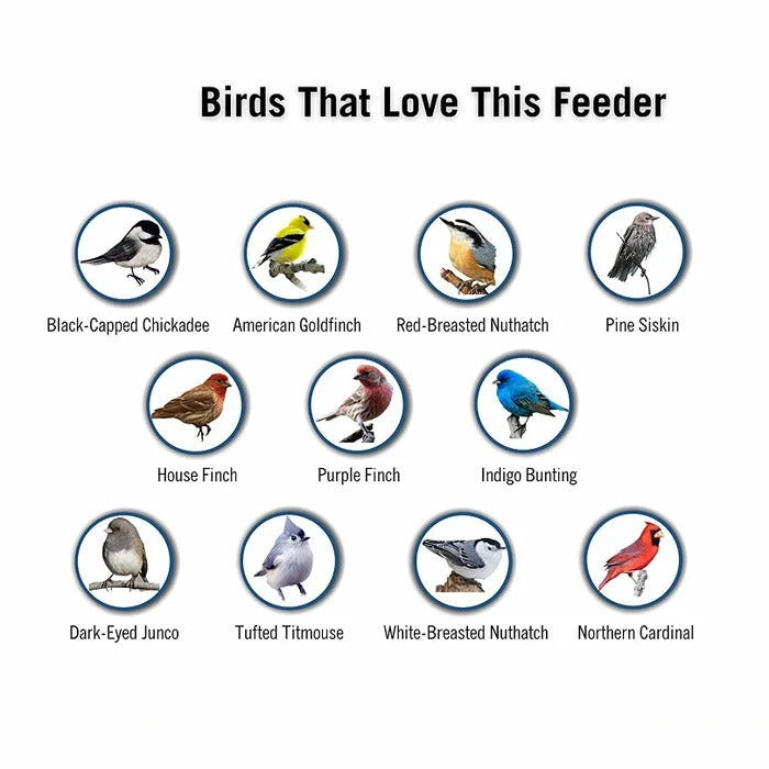 🔥Last Day Sale 49%🔥Proof Bird Feeder
