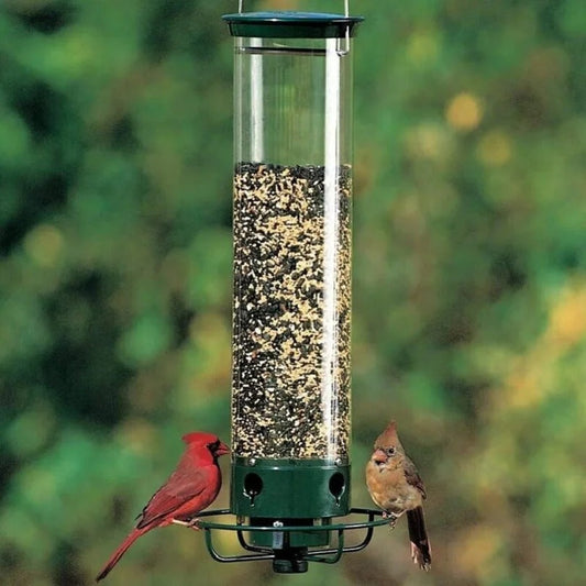 🔥Last Day Sale 49%🔥Proof Bird Feeder