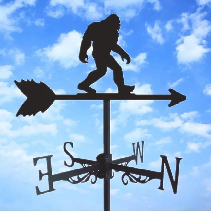 （Buy 2 free shipping）Stainless Steel Weathervane